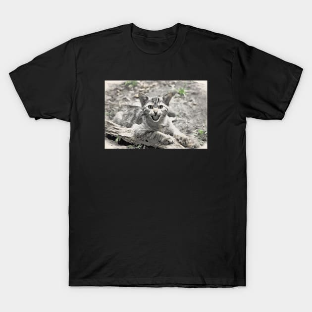Wild cat T-Shirt by Wolf Art / Swiss Artwork Photography